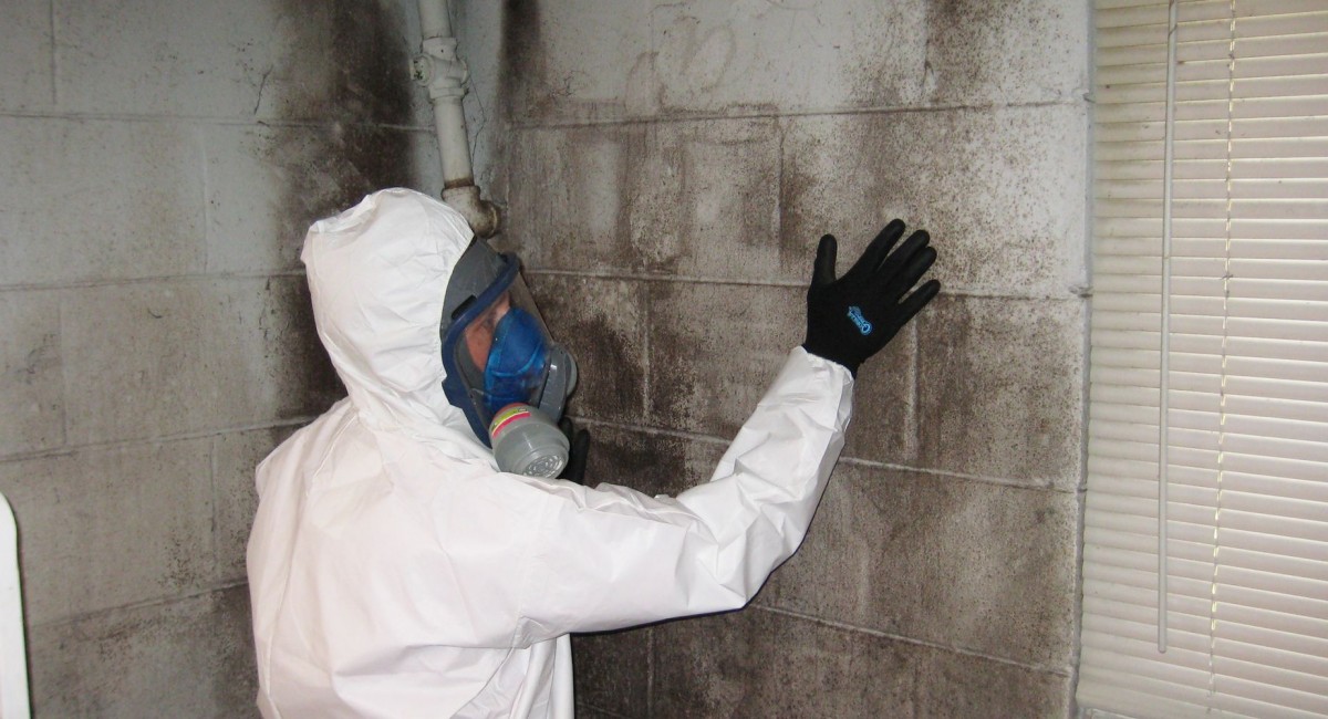 Yangın Sonrası Temizlik